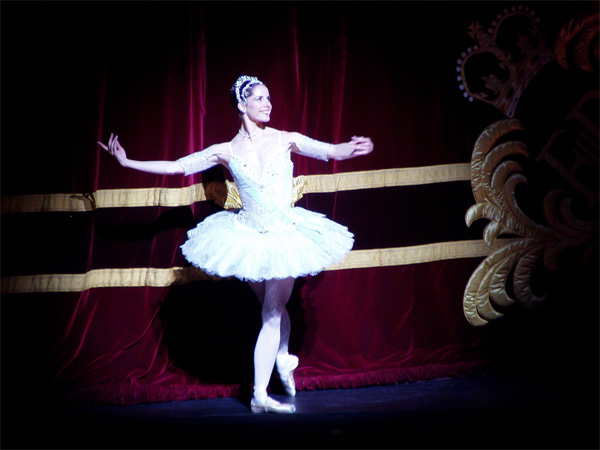 Darcey Bussell